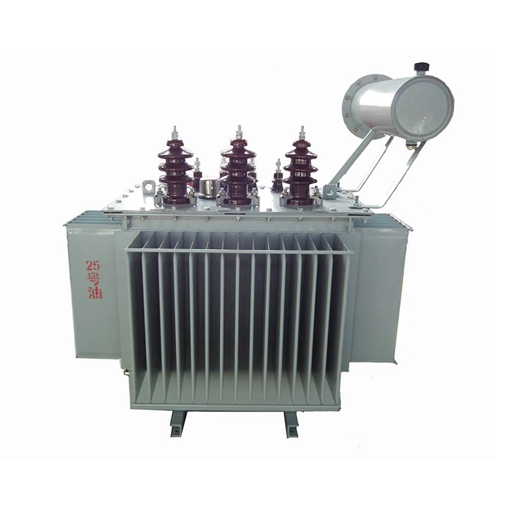 100 Kva 11 Kv 오일 침지 ONAN 변압기 100 Kva 11 Kv 오일 침지 ONAN 변압기