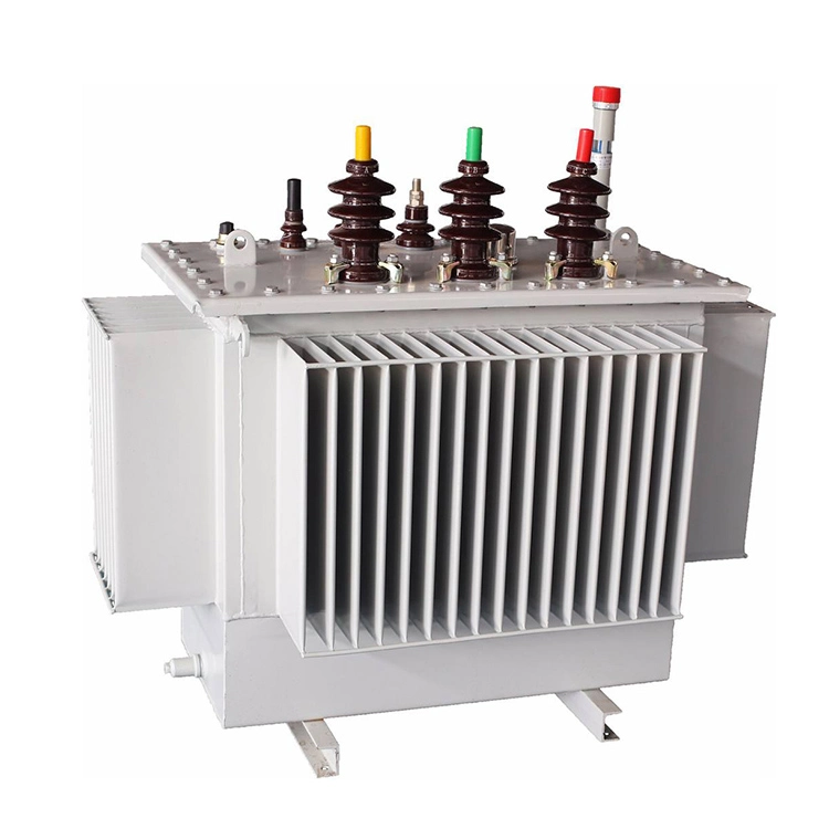 100 Kva 11 Kv 오일 침지 ONAN 변압기